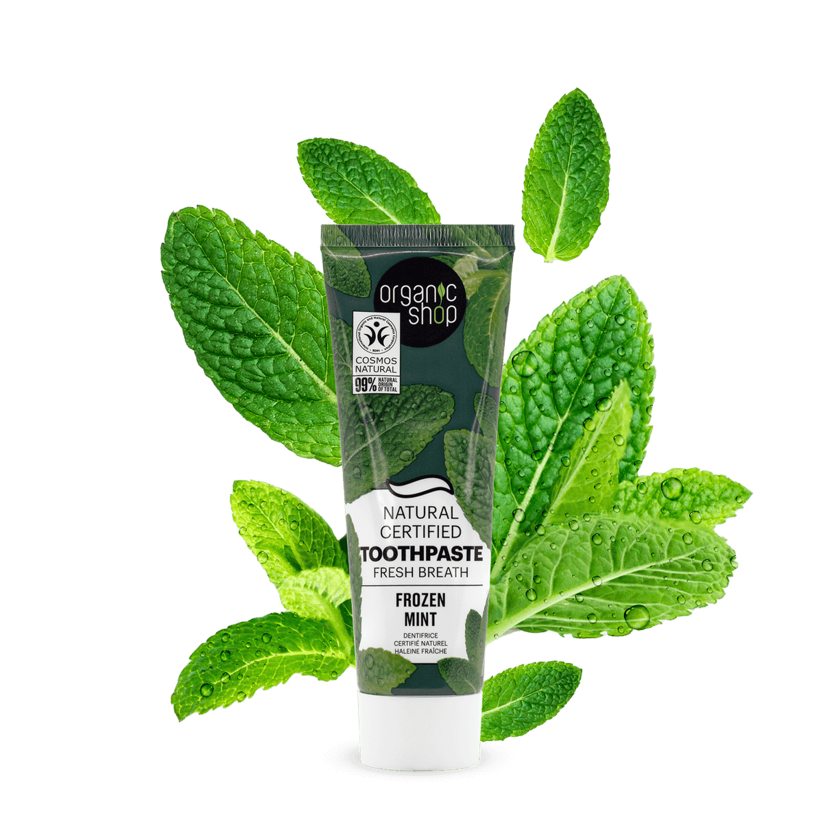 Toothpaste Fresh Mint. Natural Certified Toothpaste Fresh Breath – Organic Shop