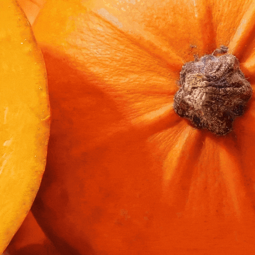 Brown Sugar Body Scrub Pumpkin Spice Latte